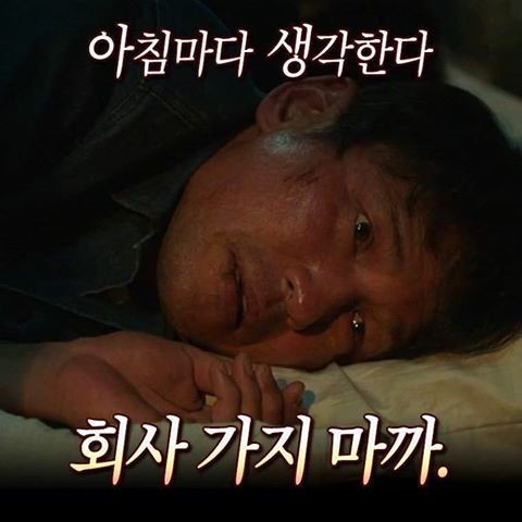 아침공감.jpg