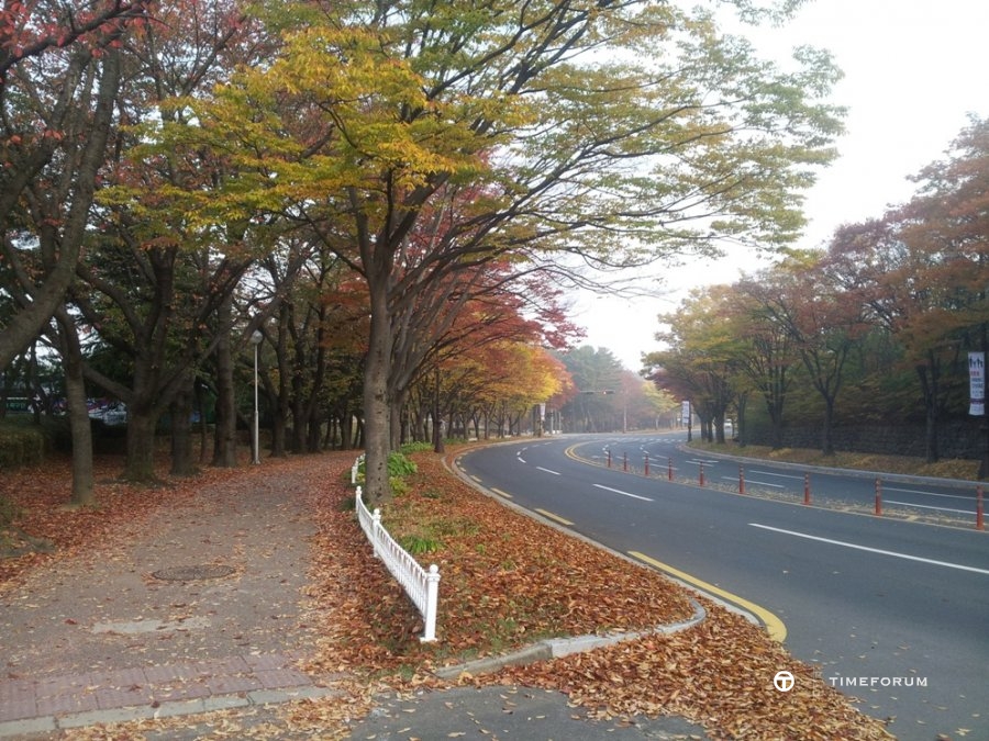 20131102_074342.jpg