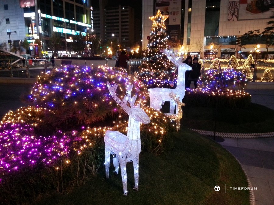 20141124_180742.jpg : 하이동이 너무 조용해서 N 켜봅니다