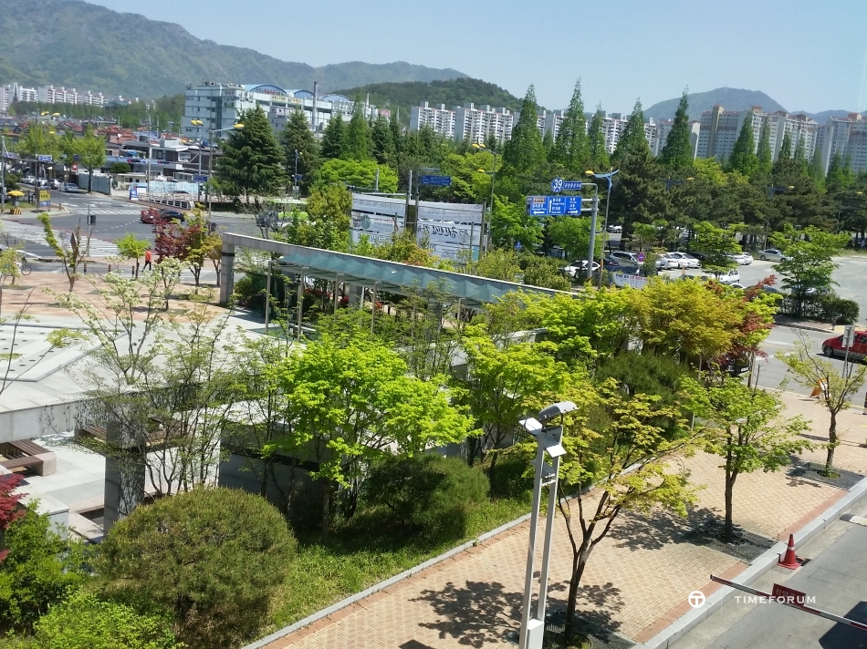 20150425_123828.jpg : 주말에는 RO와 함께~~