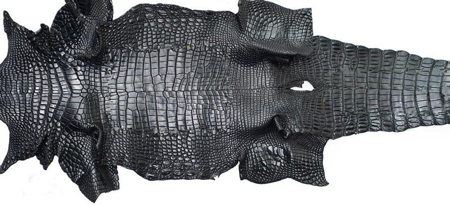 alligator-skin.jpg