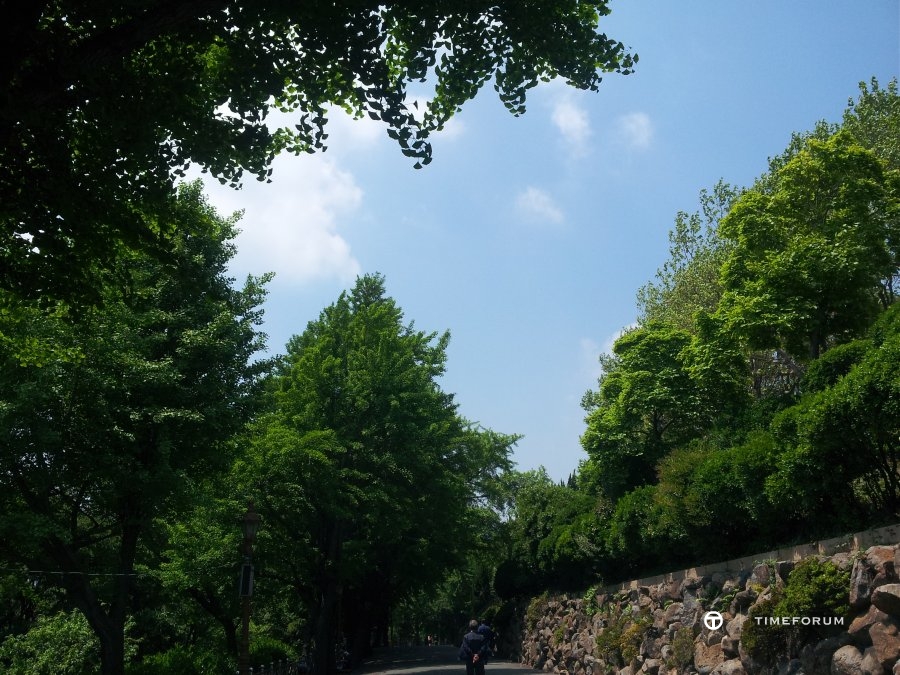 20140501_130040.jpg : [스캔데이 ] 드레스워치의 밀착감이란?