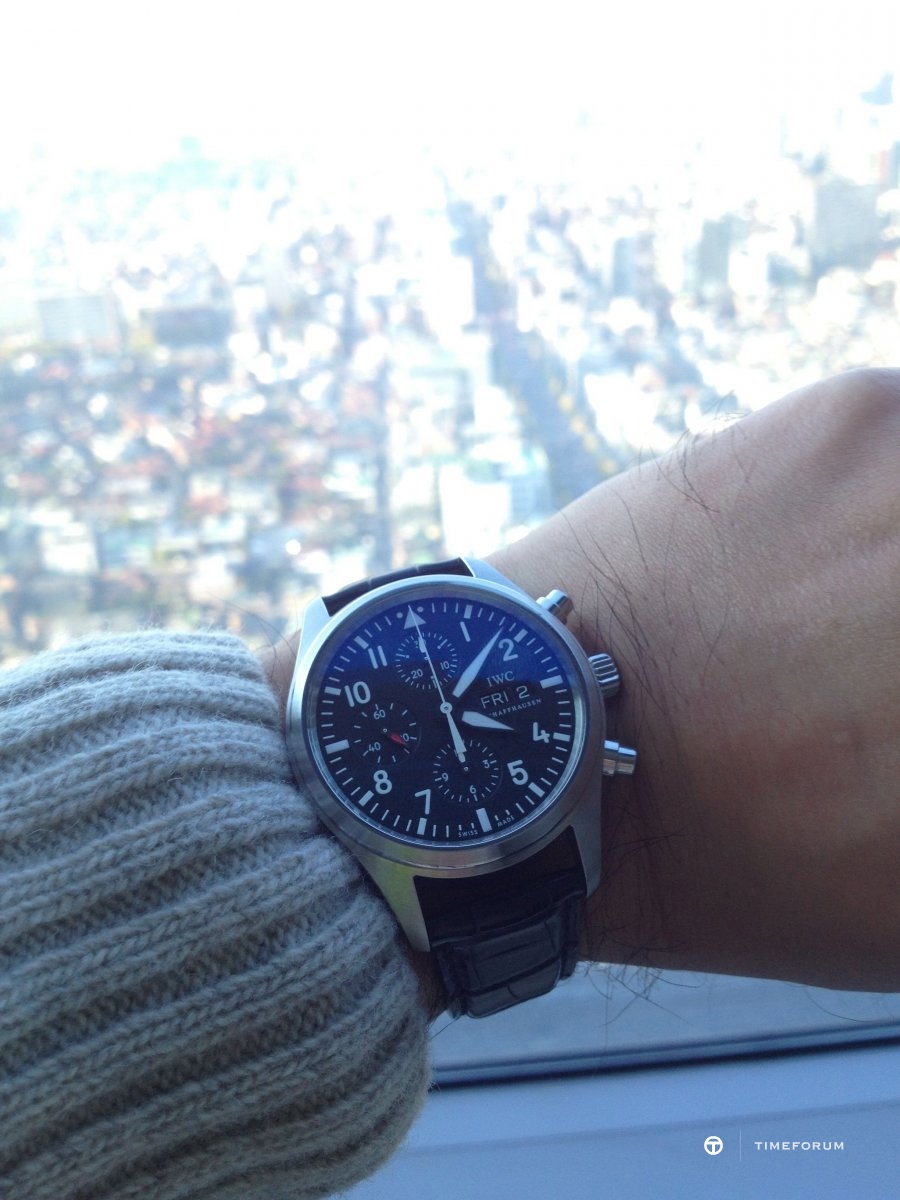 iwc_3717.jpg