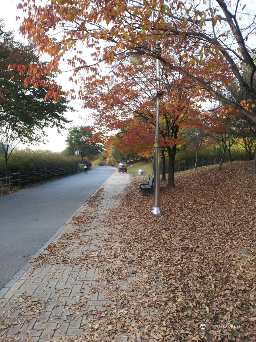 20121030_02.jpg