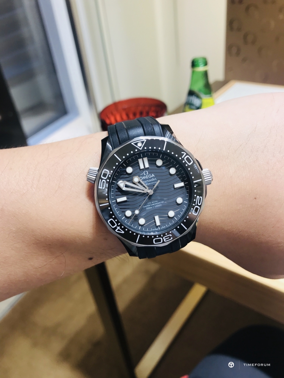 seamaster_ceramic2.jpg