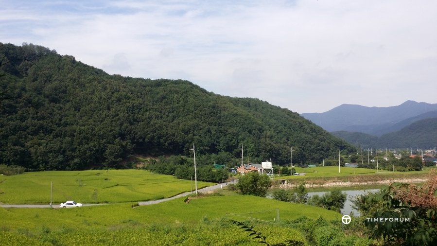 20140906_144450.jpg : 피오와 한가로운 가을의 연휴~