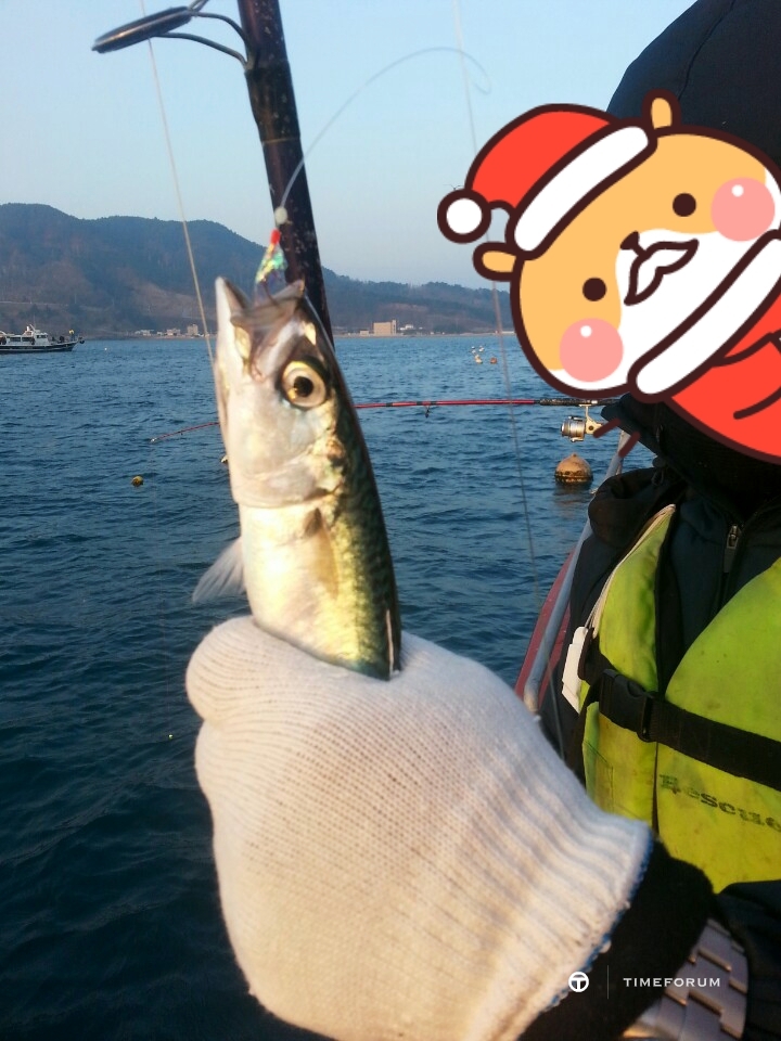 CYMERA_20141229_145820.jpg : 딥씨와 고등어