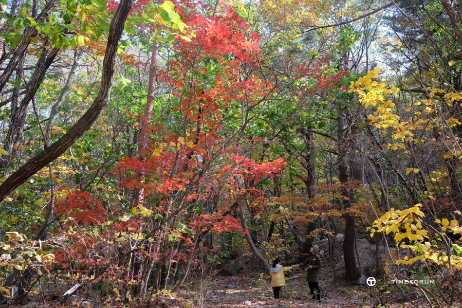 설악산 단풍여행 (17).jpg