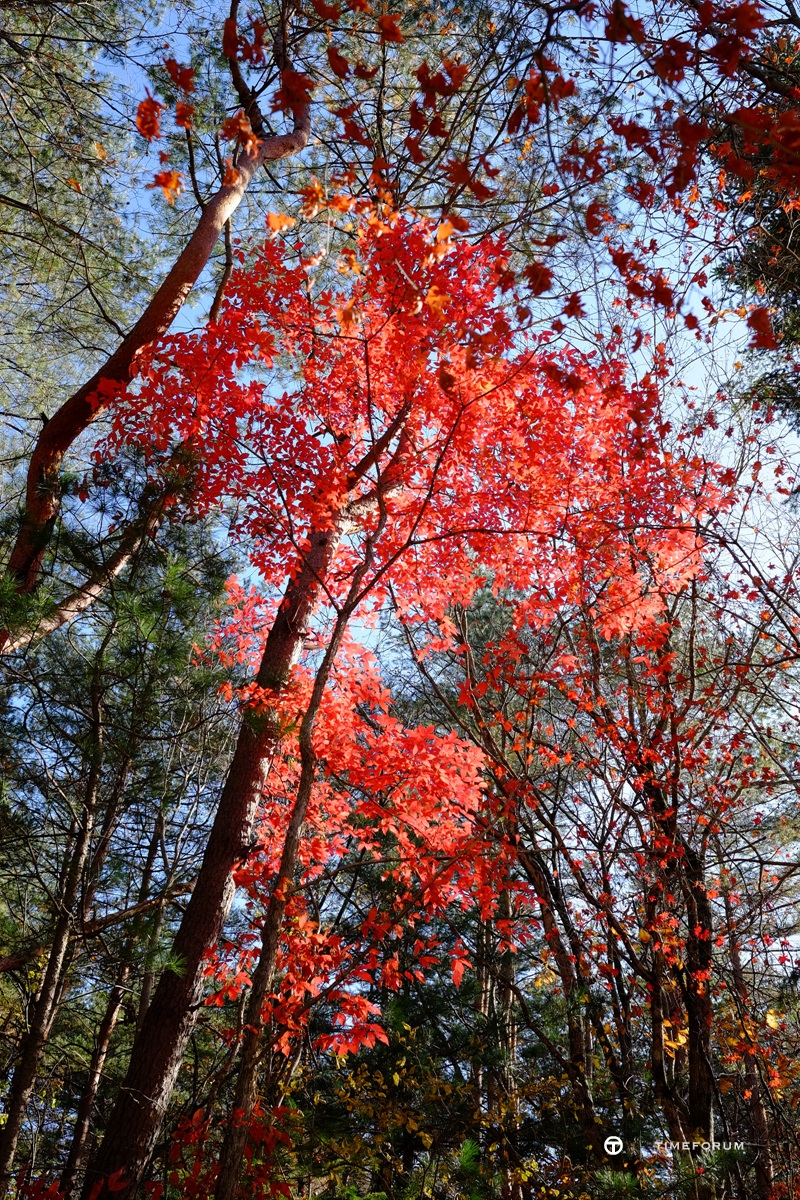 설악산 단풍여행 (7).jpg