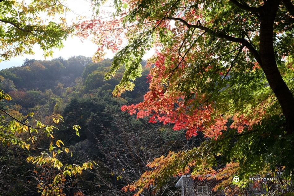 설악산 단풍여행 (15).jpg