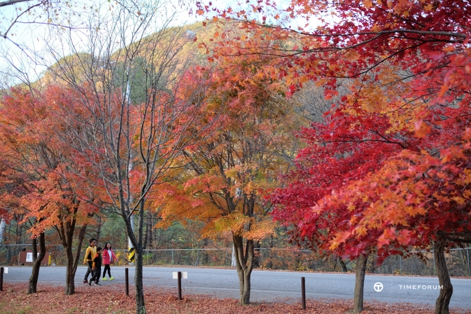 설악산 단풍여행 (10).jpg