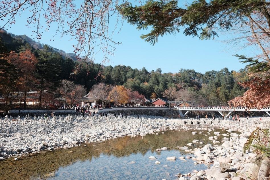 설악산 단풍여행 (8).jpg