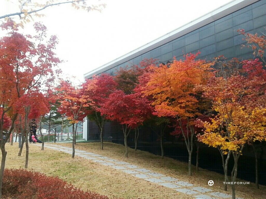 CYMERA_20131103_210836.jpg : 단풍의 끝을 잡고.. (feat. 딥씨)