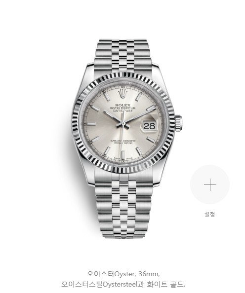 FireShot Capture 81 - 롤렉스 Datejust 36_ - https___www.rolex.com_ko_watches_datejust_m116234-0080.html-x.png