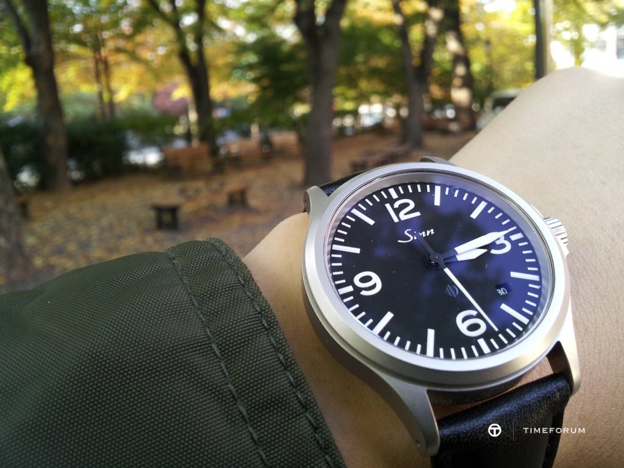 20121030_151414.jpg : 가을을 느끼며, sinn656