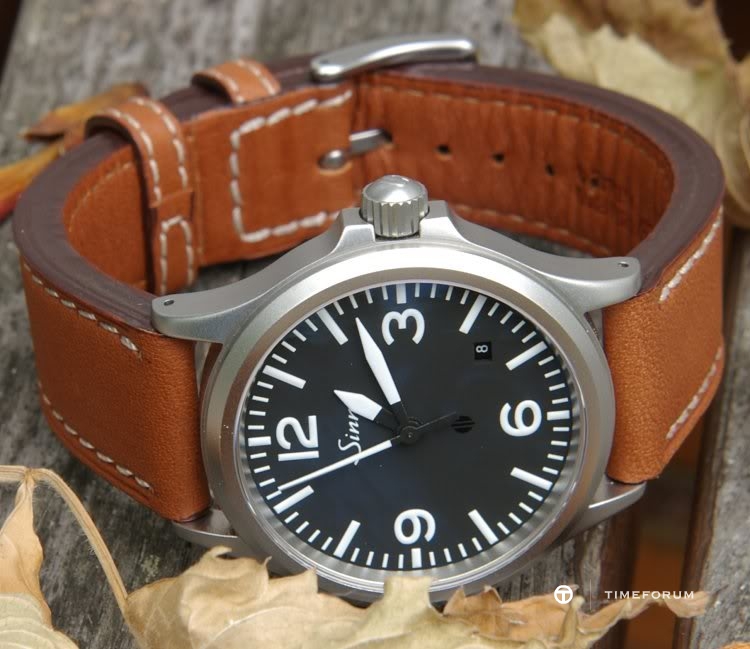 sinn6568.jpg