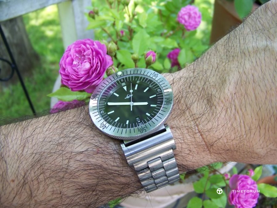 Lacherwristshotflower01.jpg