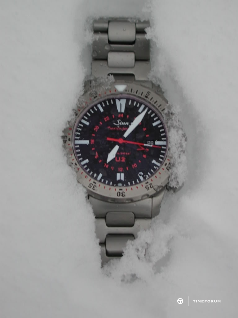 U2SnowDay022608.jpg