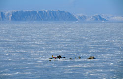 SINN_UltimaThule_01.jpg