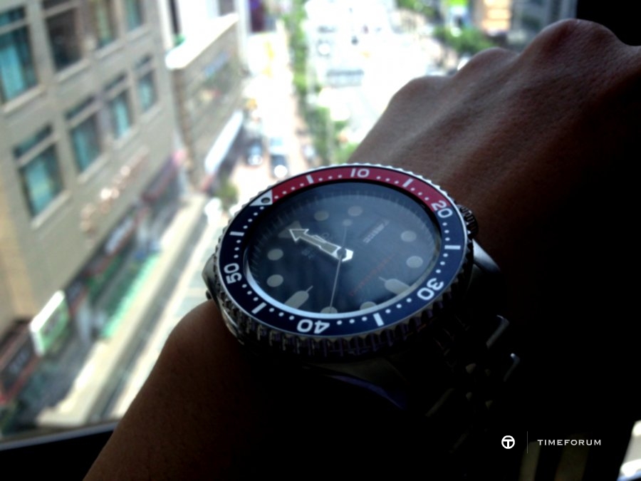 skx009.JPG