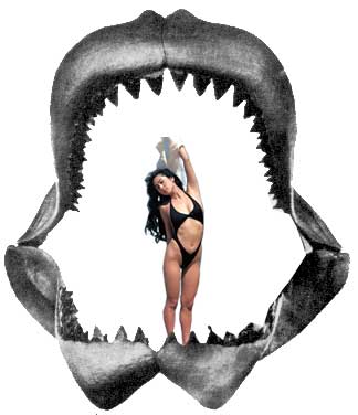 megalodon.jpg