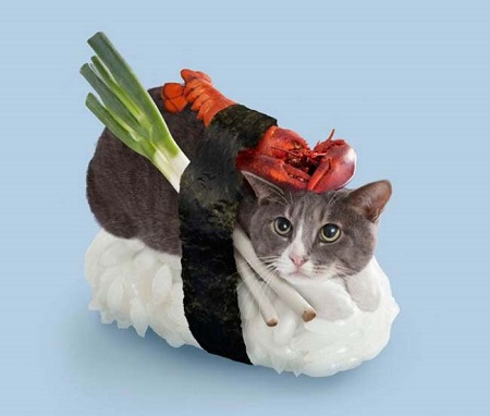 Neko-Sushi-Japanese-Sushi-Cat-by-Nakimushi-Peanuts-8.jpg