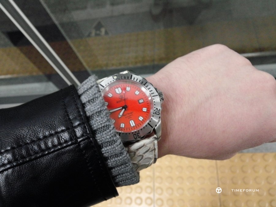 CAM04228.jpg : [스캔데이] Boschett Reef Ranger & Python Strap