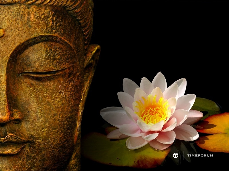 buddha-wallpapers-photos-pictures-h2o-lily.jpg