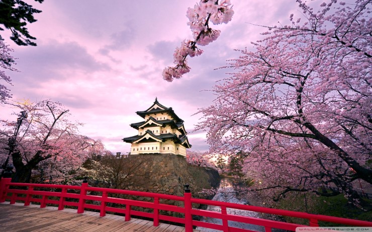 cherry_blossoms_japan_2-wallpaper-1920x1200.jpg