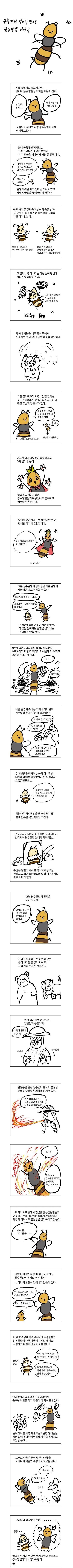 장수말벌.jpg