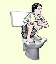 220px-Pedestal-squat-toilet.jpg
