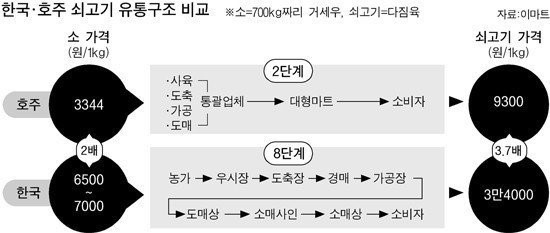 유통구조.jpg