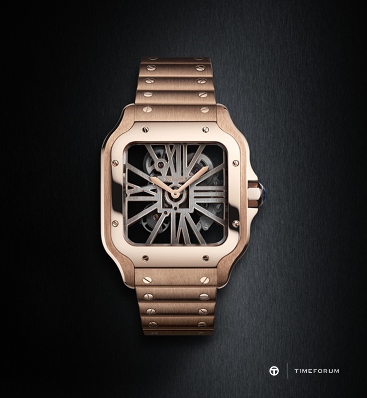 05_SANTOS_CARTIER_SKELETON_WHSA0008.jpg