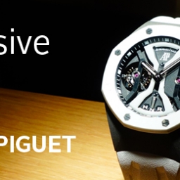 Audemars Piguet 2014 Report