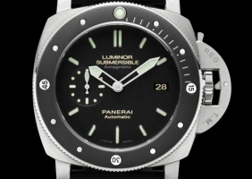 New Model Pam 389